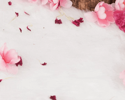 Best Fragrance for Women (Set of 3 Perfumes x 8ml)