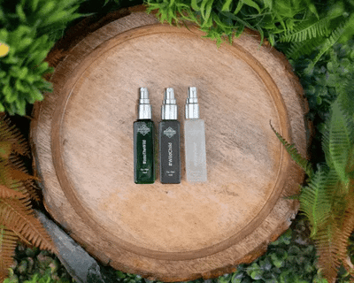 Best Fragrance for Men (LIGHTR + 3 Perfumes x 8ml)
