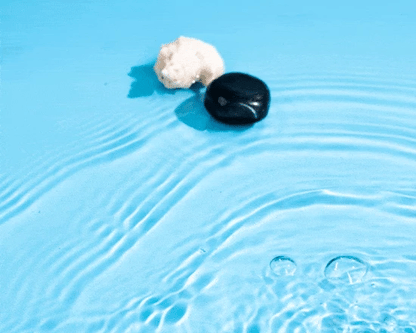 Best Aquatic and Citrus Fragrances for Men and Women(LIGHTR + 3 Perfumes x 8ml)