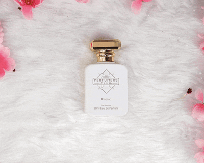 Best Fragrances For Women (Combo Set of 3X50ml)
