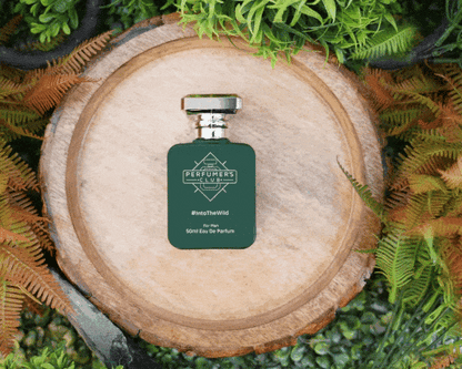 Best Fragrances For Men( Combo Set of 3X50ml)